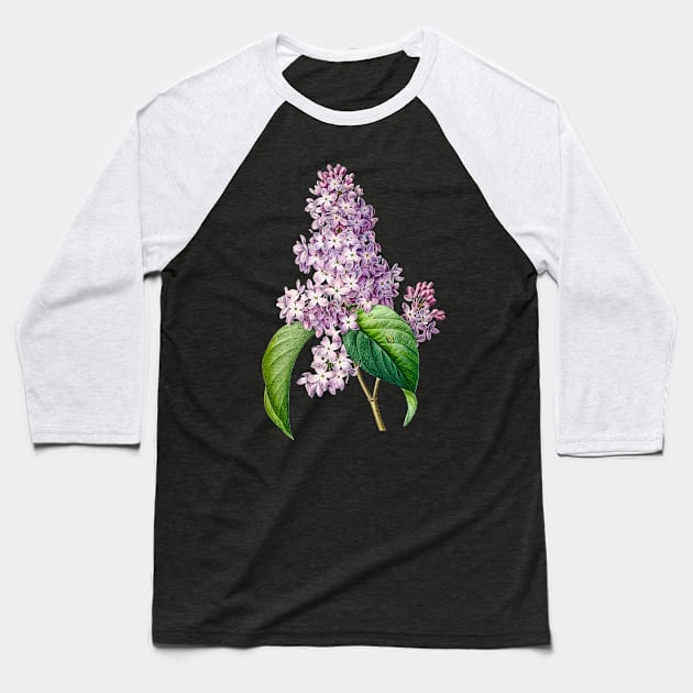 Lilac flower - Botanical Illustration Baseball T-Shirt by chimakingthings